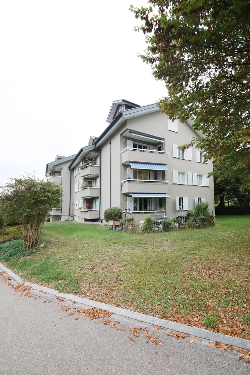 Renovierte 3.5-Zimmerwohnung mit Balkon an ruhiger Lage, mit Blick ins Grüne (12)