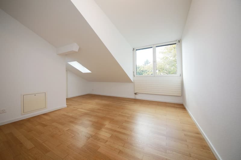 Renovierte 2.5-Zimmer-Dachwohnung (5)