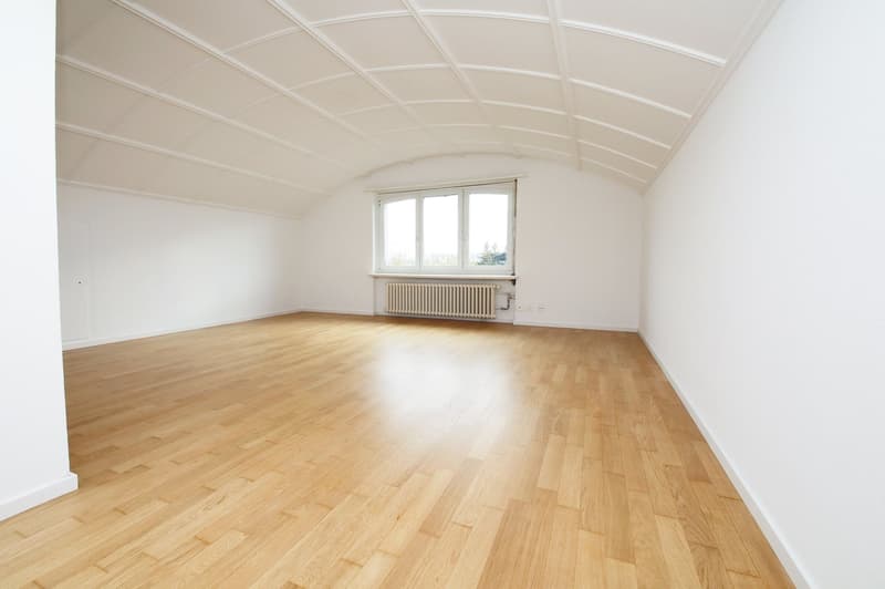 Renovierte 2.5-Zimmer-Dachwohnung (3)