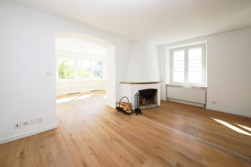 Herrschaftliche 4.5-Zimmer-Wohnung, 145 m2, mit voller Seesicht und grosser Terrasse (4)