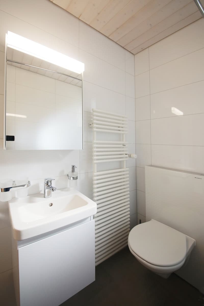 Top renovierte 3.5 Zimmer-Wohnung mit 2 Balkonen, 1. OG mit Gartensitzplatz (12)