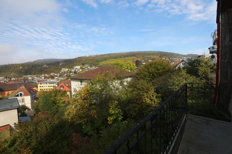 Top renovierte 3.5 Zimmer-Wohnung mit 2 Balkonen, 1. OG mit Gartensitzplatz (3)