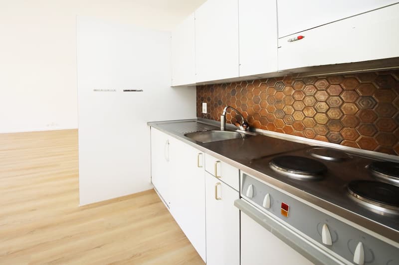 Gepflegte 2-Zimmer-Wohnung, Nähe Oberer Letten - Wipkingen (4)