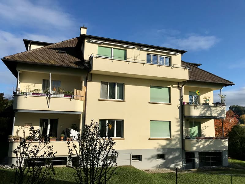 Stanzone per lavori manuali in affitto (3)