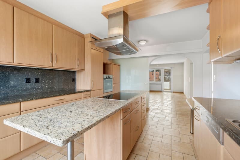 modern kitchen with granite countertops, wooden cabinets, stainless steel appliances, tiled floor, large windows