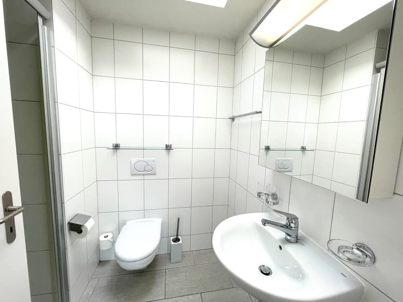 Appartement en attique de 5,5 pièces lumineux dans un emplacement parfait avec une vue imprenable ! (8)