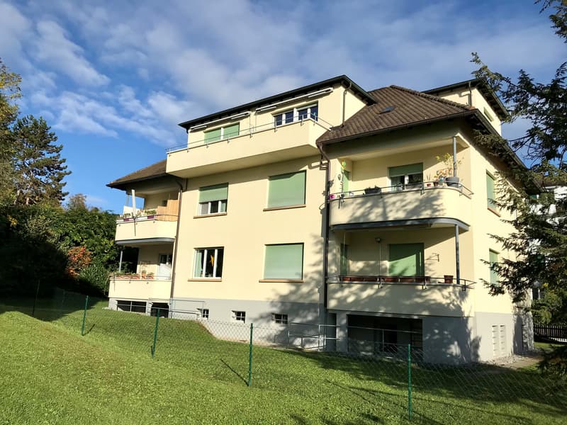 Grosszügige und ruhige 2.5-Zimmerwohnung 65m2 nähe ÖV (2)