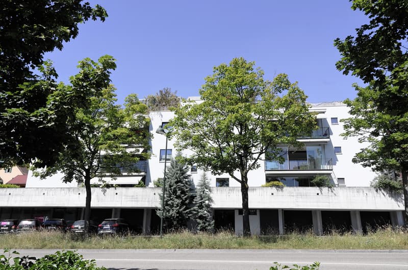 Haus