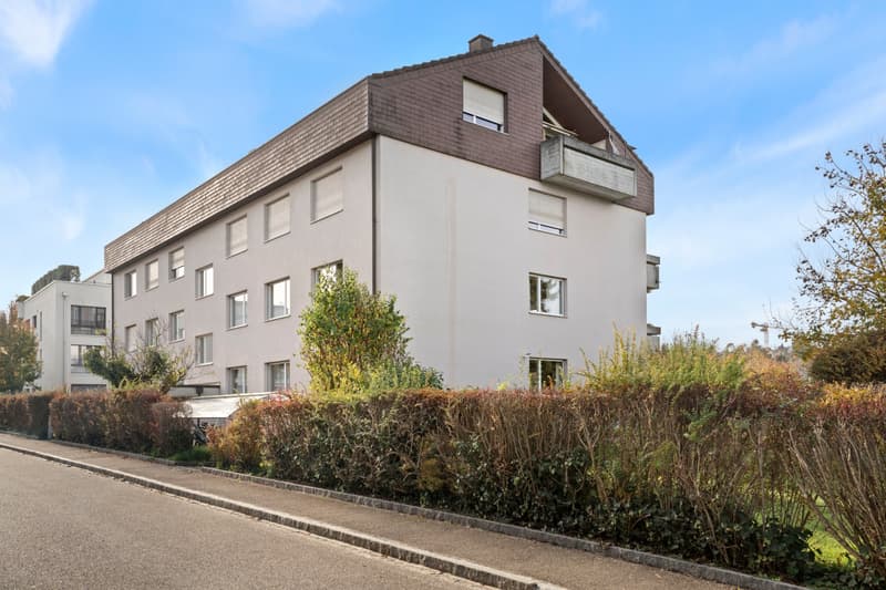 16_2.5 Zi-Whg - Im Wasen 9, 4104 Oberwil BL_web