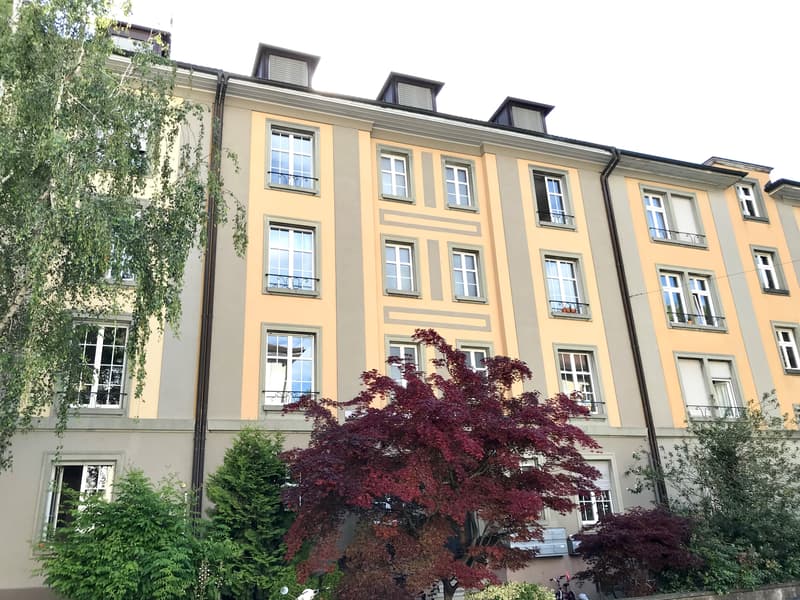 Charmante Altbauwohnung in Baumgartner-Haus (1)