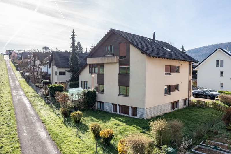 Stutzring_5_Ettingen_DJI_0526