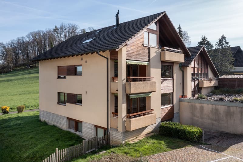 Stutzring_5_Ettingen_DJI_0518
