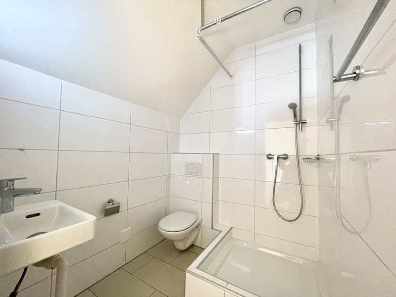 L2080.153 sep. WC
