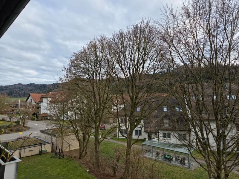 Grand appartement de 4,5 pièces à vendre au Zihlackerring 13 à Turbenthal. À seulement 2 minutes à pied des transports en commun. (17)