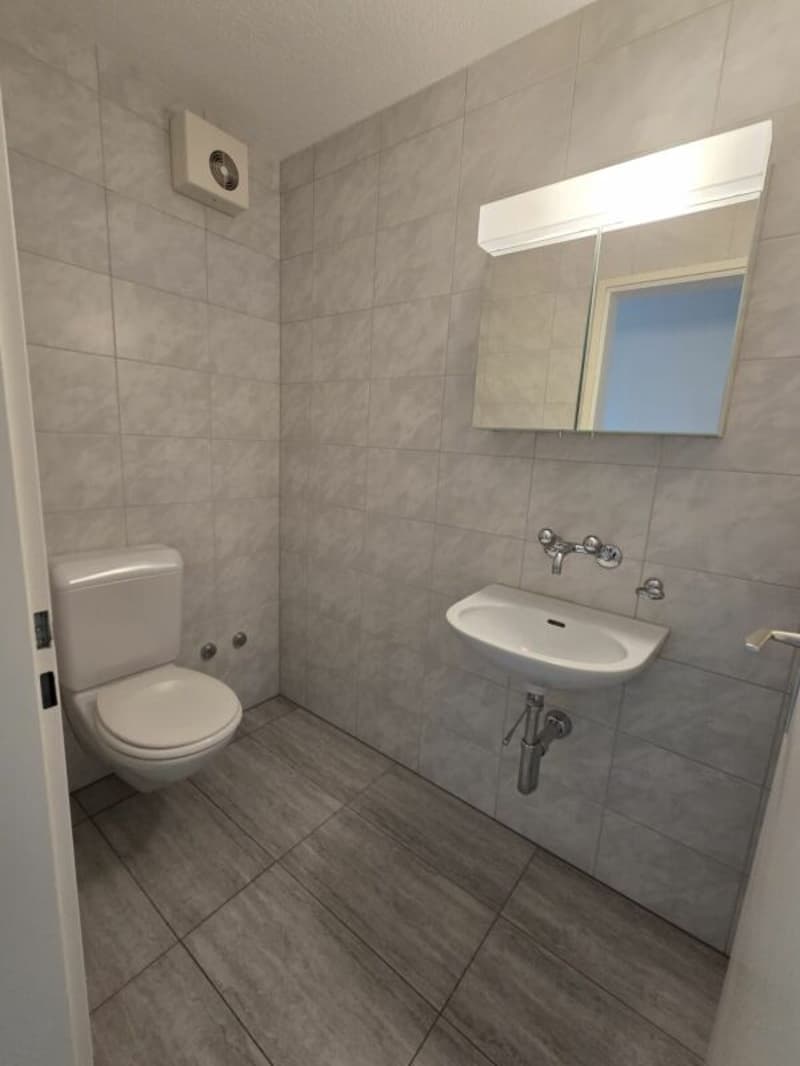 Grand appartement de 4,5 pièces à vendre au Zihlackerring 13 à Turbenthal. À seulement 2 minutes à pied des transports en commun. (10)