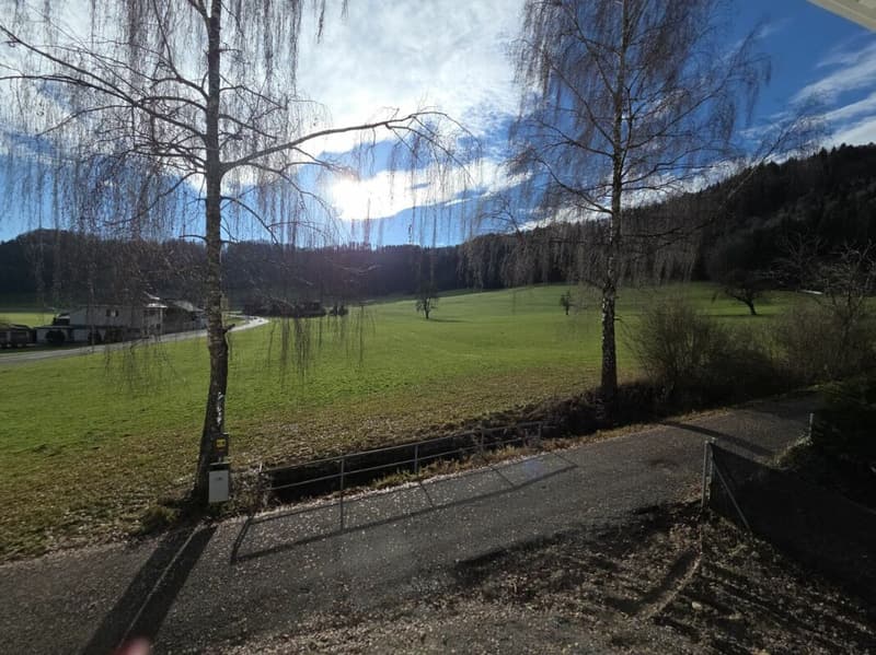 For sale in 8362 Itaslen near Balterswil, new 5½ room single-family house, in an unobstructable location adjacent to an agricultural zone, with a far-reaching view of the meadow! (26)