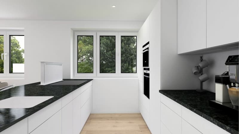 For sale in 8362 Itaslen near Balterswil, new 5½ room single-family house, in an unobstructable location adjacent to an agricultural zone, with a far-reaching view of the meadow! (15)