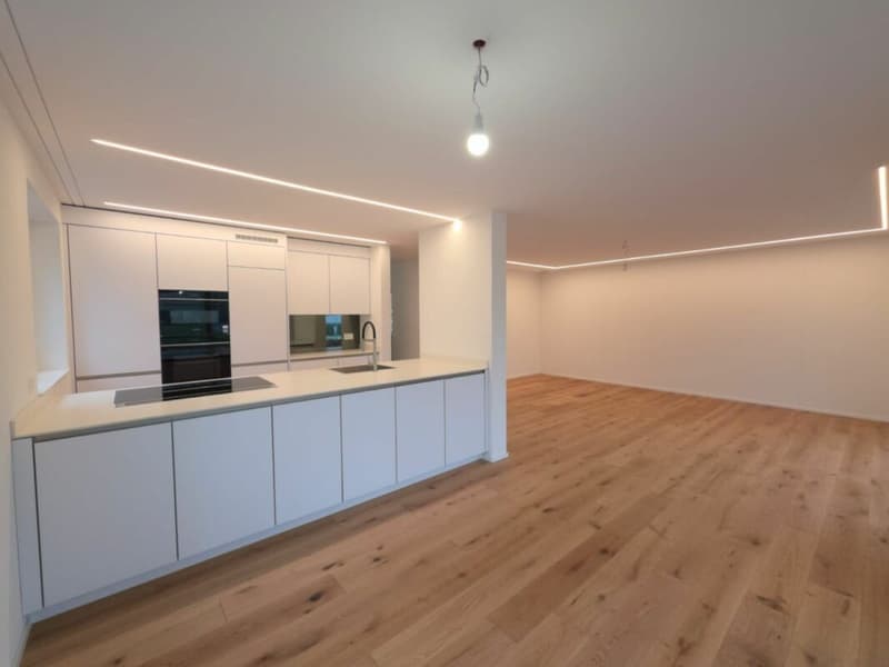 For sale in 8362 Itaslen near Balterswil, new 5½ room single-family house, in an unobstructable location adjacent to an agricultural zone, with a far-reaching view of the meadow! (12)