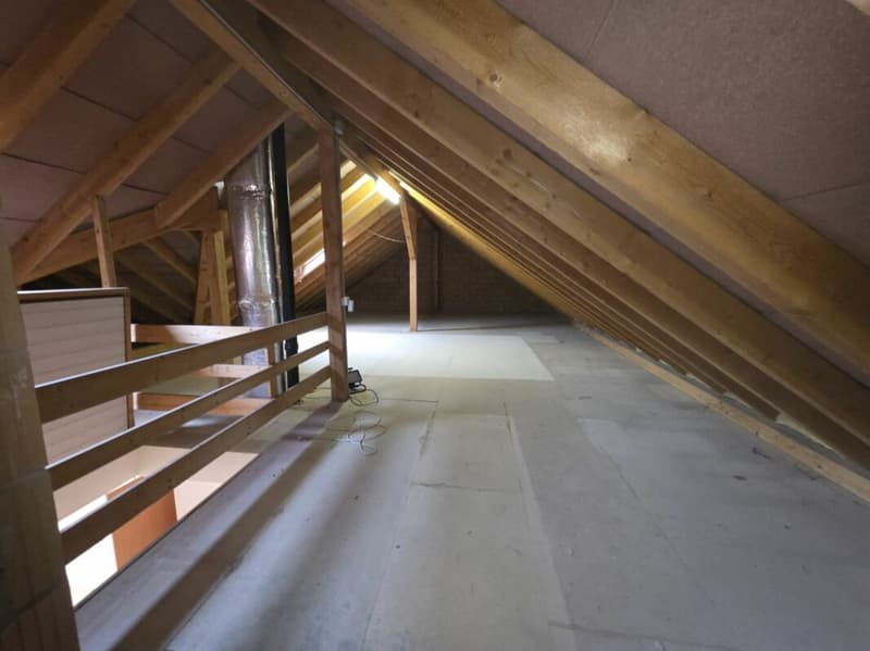 In vendita alla Haushaldenstrasse 2a a 8374 Dussnang; grande appartamento di 5½ locali in mansarda, in una posizione tranquilla e soleggiata / a soli 2 minuti a piedi dai trasporti pubblici! (15)