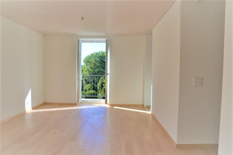 À louer appartement de 3 pièces au 3a Wylandstrasse à Winterthur (8)