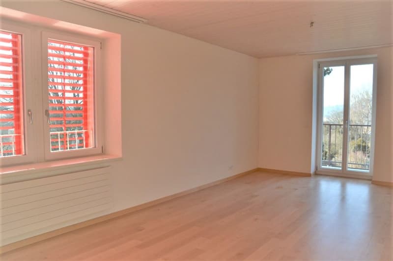 À louer appartement de 3 pièces au 3a Wylandstrasse à Winterthur (7)