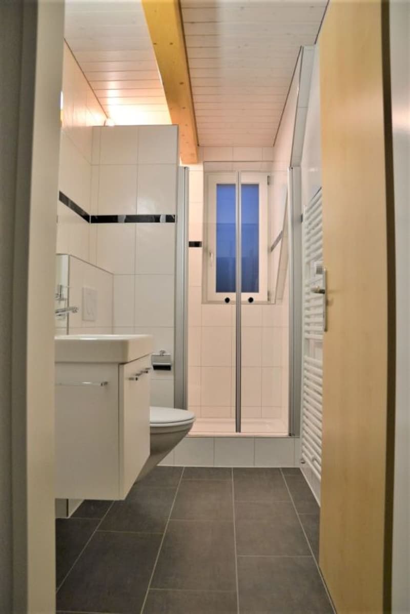 Zu vermieten 3 Zi.-Dachwohnung an der Wylandstr. 3a in Winterthur (9)