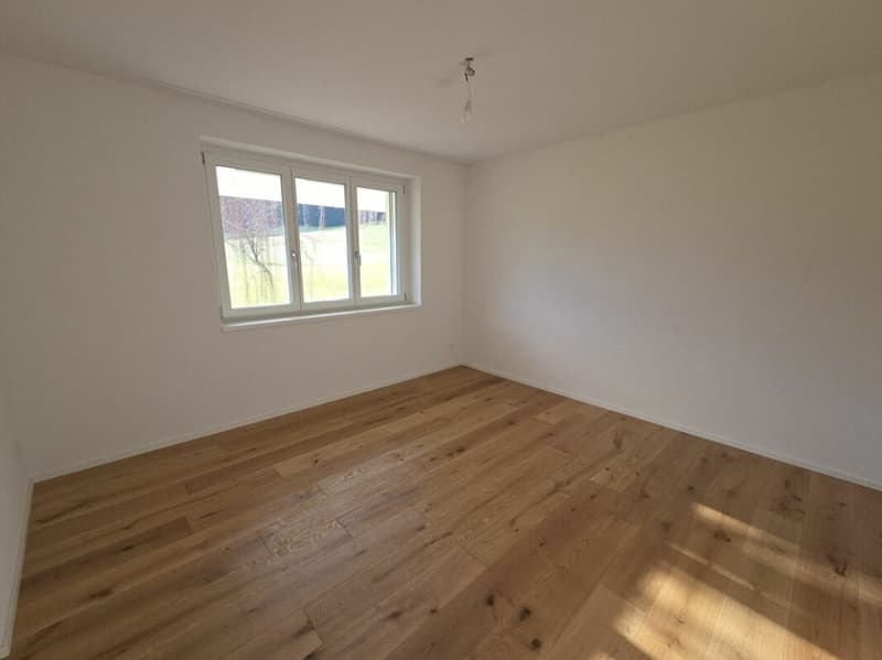 Zu verkaufen in 8362 Itaslen bei Balterswil, neues 5½ Zi.-ECK-EFH, an unverbaubarer Lage angrenzend an Landwirtschaftszone, mit Weitsicht auf Wiese und Wald ! (20)
