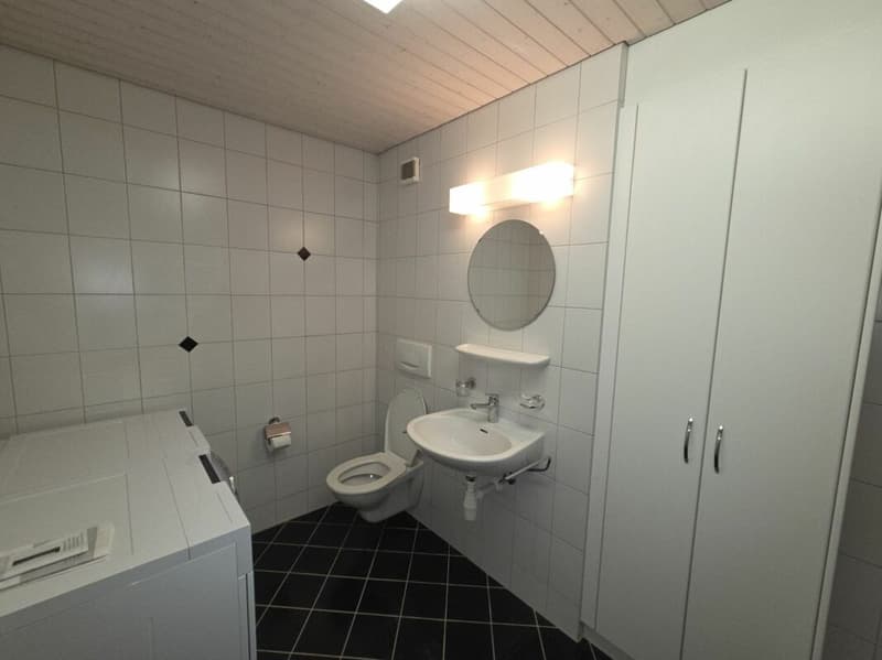 Zu verkaufen an der Haushaldenstrasse 2a in 8374 Dussnang; grosse 5½ Zi.-Dachwohnung, an ruhiger, sonniger Lage /nur 2 Gehminute bis ÖV ! (8)