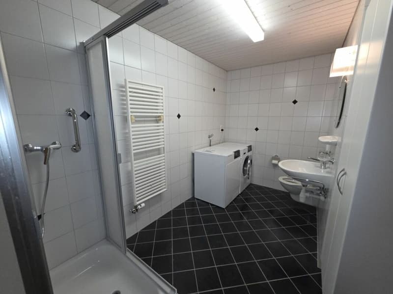 Zu verkaufen an der Haushaldenstrasse 2a in 8374 Dussnang; grosse 5½ Zi.-Dachwohnung, an ruhiger, sonniger Lage /nur 2 Gehminute bis ÖV ! (7)