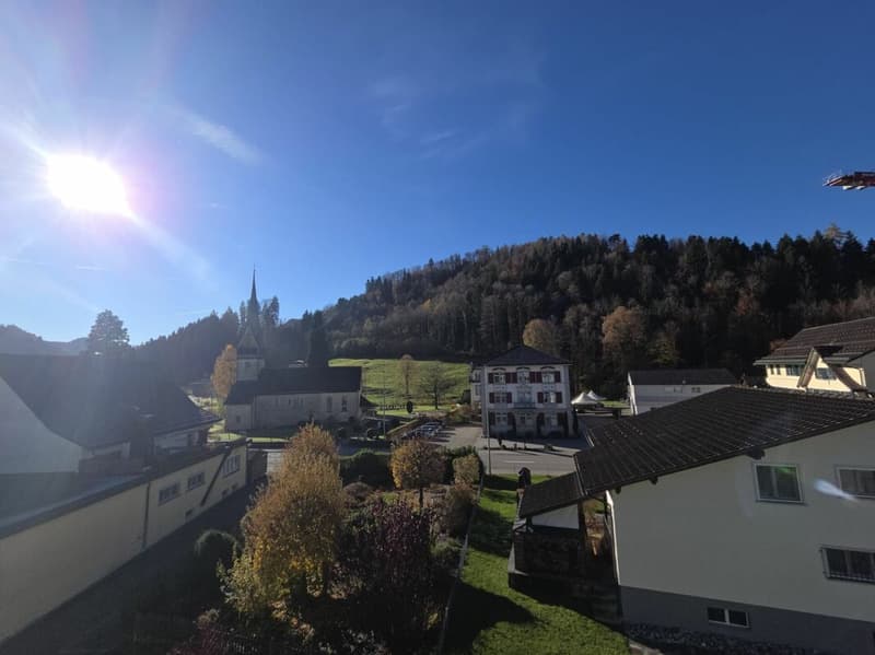Zu verkaufen an der Haushaldenstrasse 2a in 8374 Dussnang; grosse 5½ Zi.-Dachwohnung, an ruhiger, sonniger Lage /nur 2 Gehminute bis ÖV ! (16)