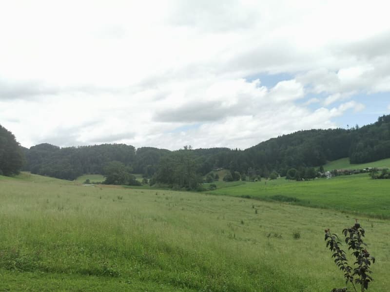 Grossz. 3.5 Zi.-Dachwohnung mit Aussicht auf den Bichelsee ! (6)