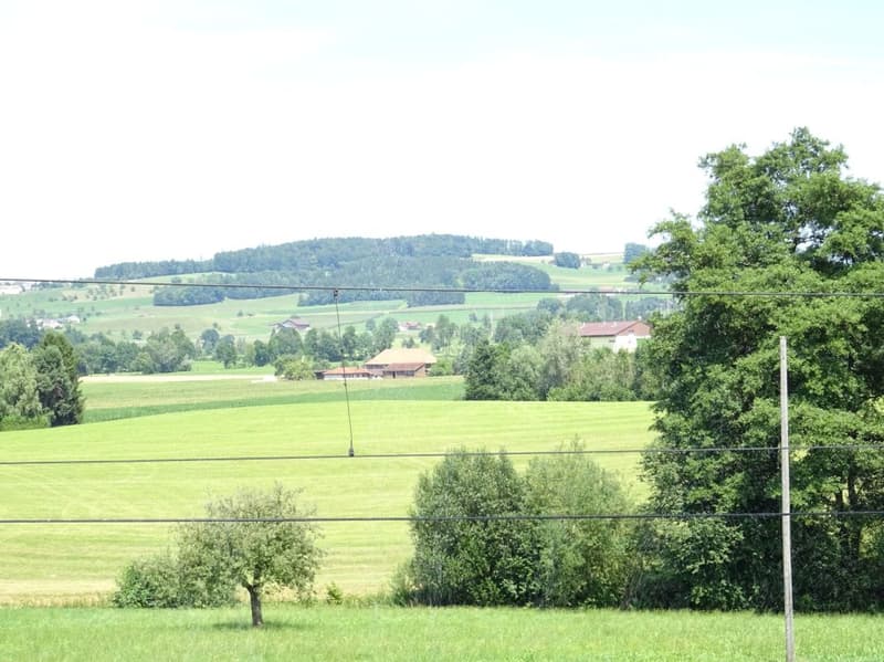 Zu vermieten in 9542 Münchwilen: 5½ Zi.-Wohnung ! (8)