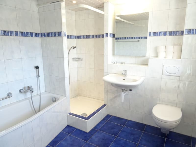 Zu vermieten in 9542 Münchwilen: 5½ Zi.-Wohnung ! (5)