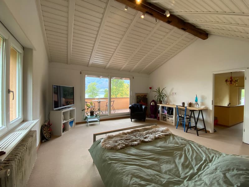 AM BIELERSEE ZUHAUSE (7)