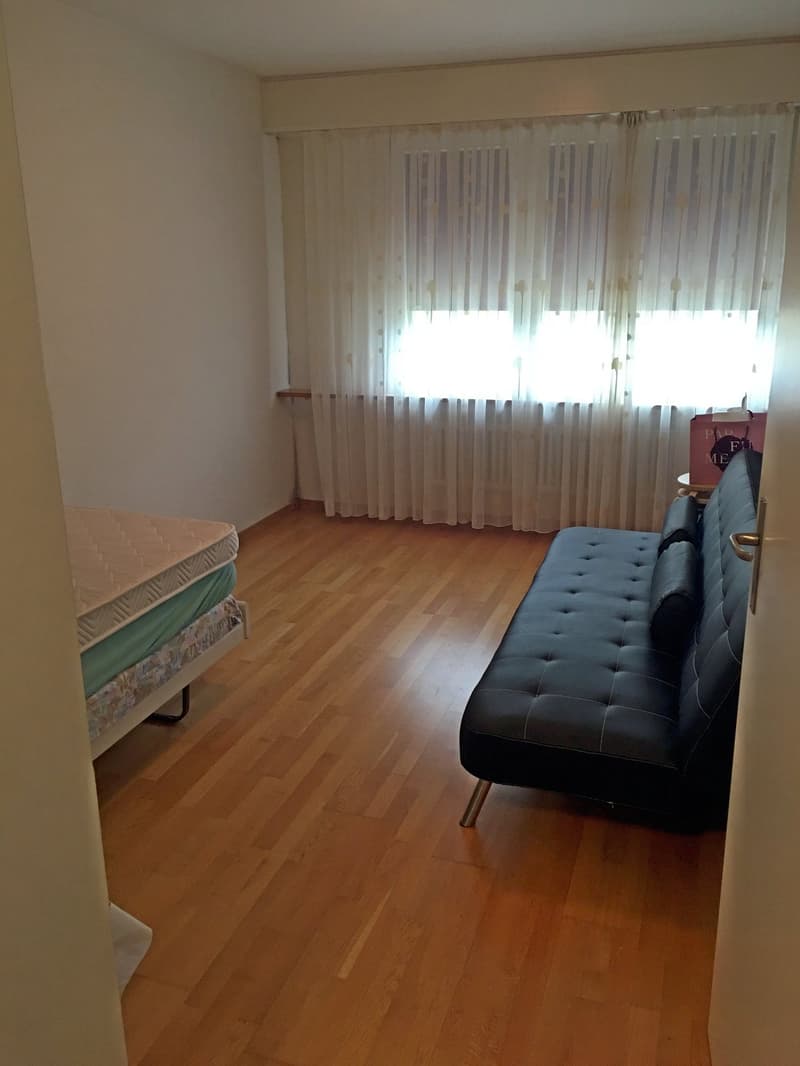 Die passende Wohnung für Sie! gut, günstig, ruhig (8)