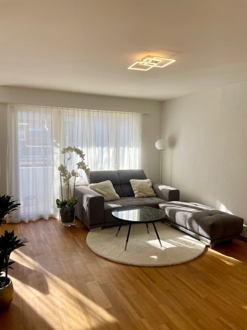 Charmante 3.5 Zimmer-Wohnung in Villmergen (2)