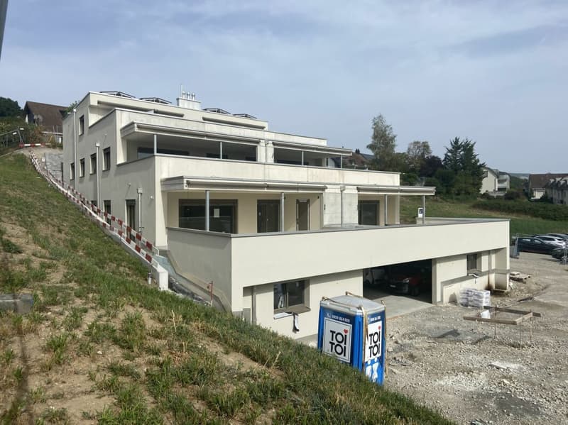 5 1/2 - Zimmer Terrassenhaus TH1 mit grosser Terrasse (3)