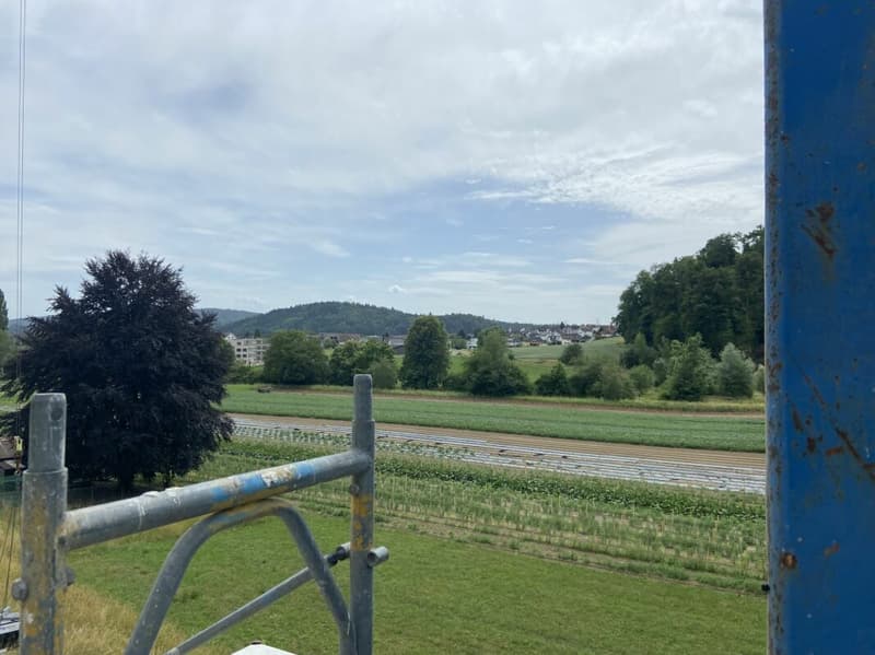4 1/2-Zimmer-Wohnung im OG mit grossem Balkon (10)