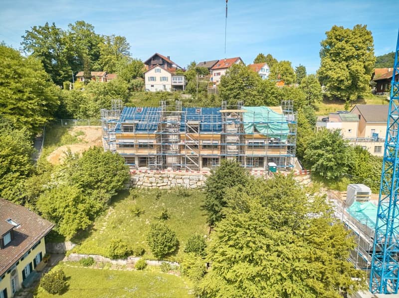 Birchweg  Othmarsingen (9)