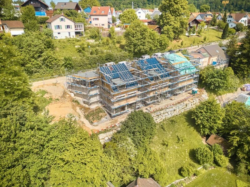 Birchweg  Othmarsingen (7)