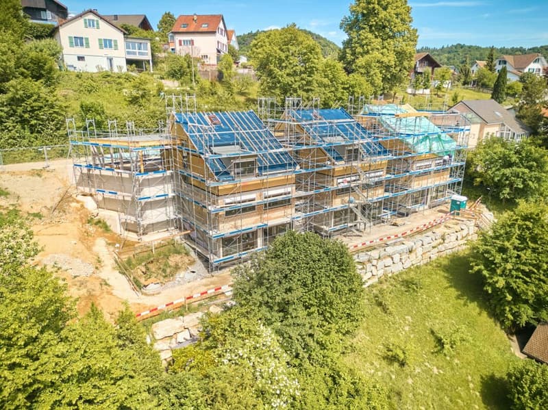 Birchweg  Othmarsingen (8)