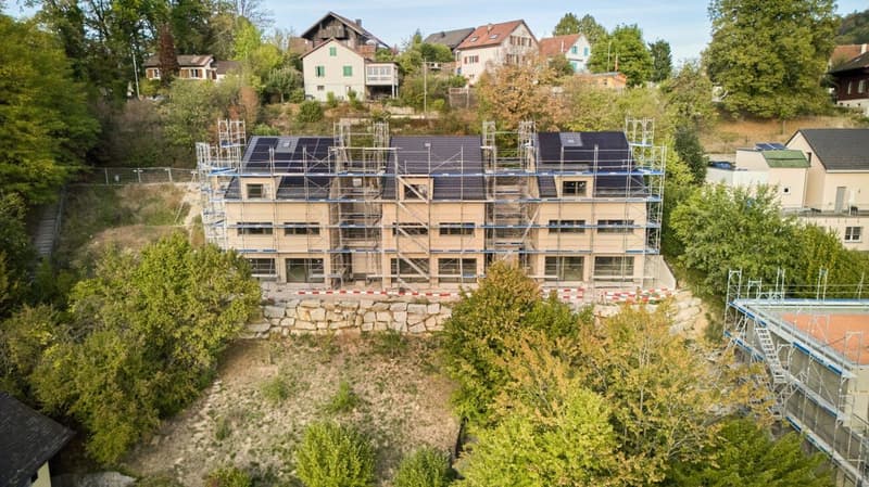 Birchweg Othmarsingen (1)