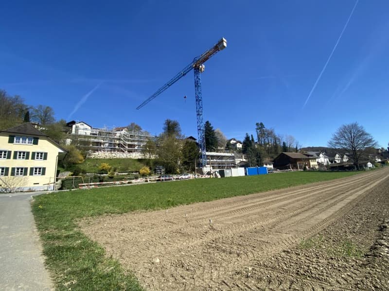 Birchweg  Othmarsingen (11)