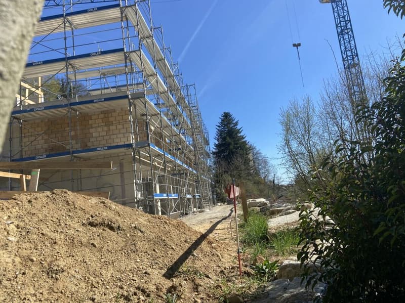 Birchweg  Othmarsingen (12)