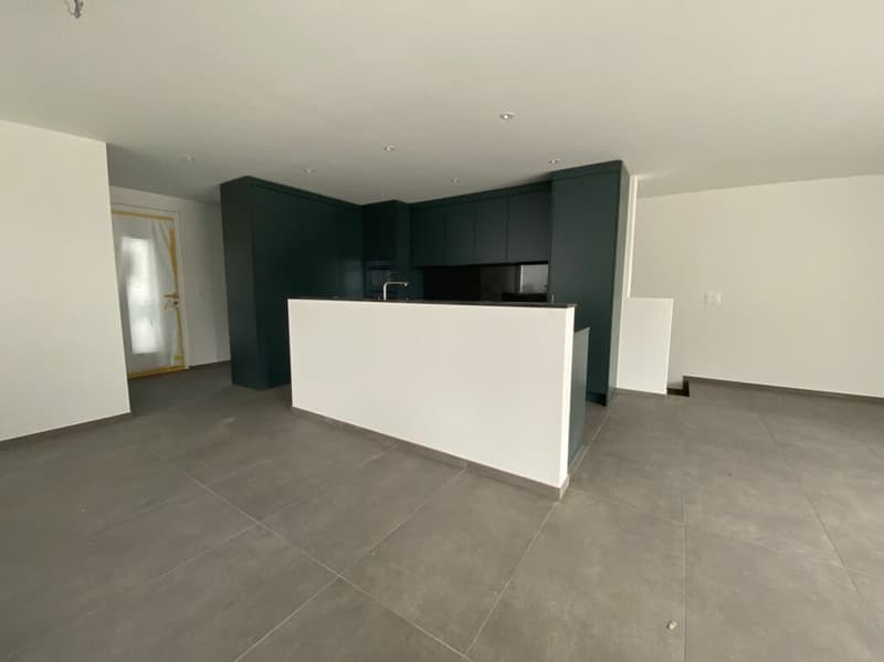 6 1/2-Zimmer-Doppeleinfamilienhaus mit nutzbarer Landfläche (5)