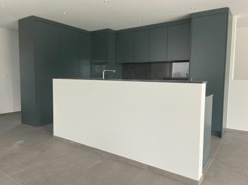 6 1/2-Zimmer-Doppeleinfamilienhaus mit nutzbarer Landfläche (7)
