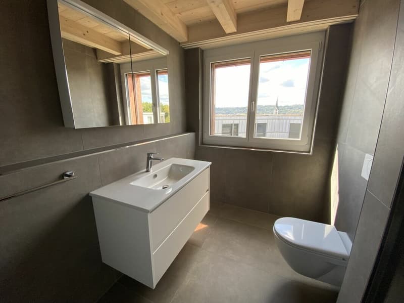 6 1/2-Zimmer-Doppeleinfamilienhaus mit nutzbarer Landfläche (8)