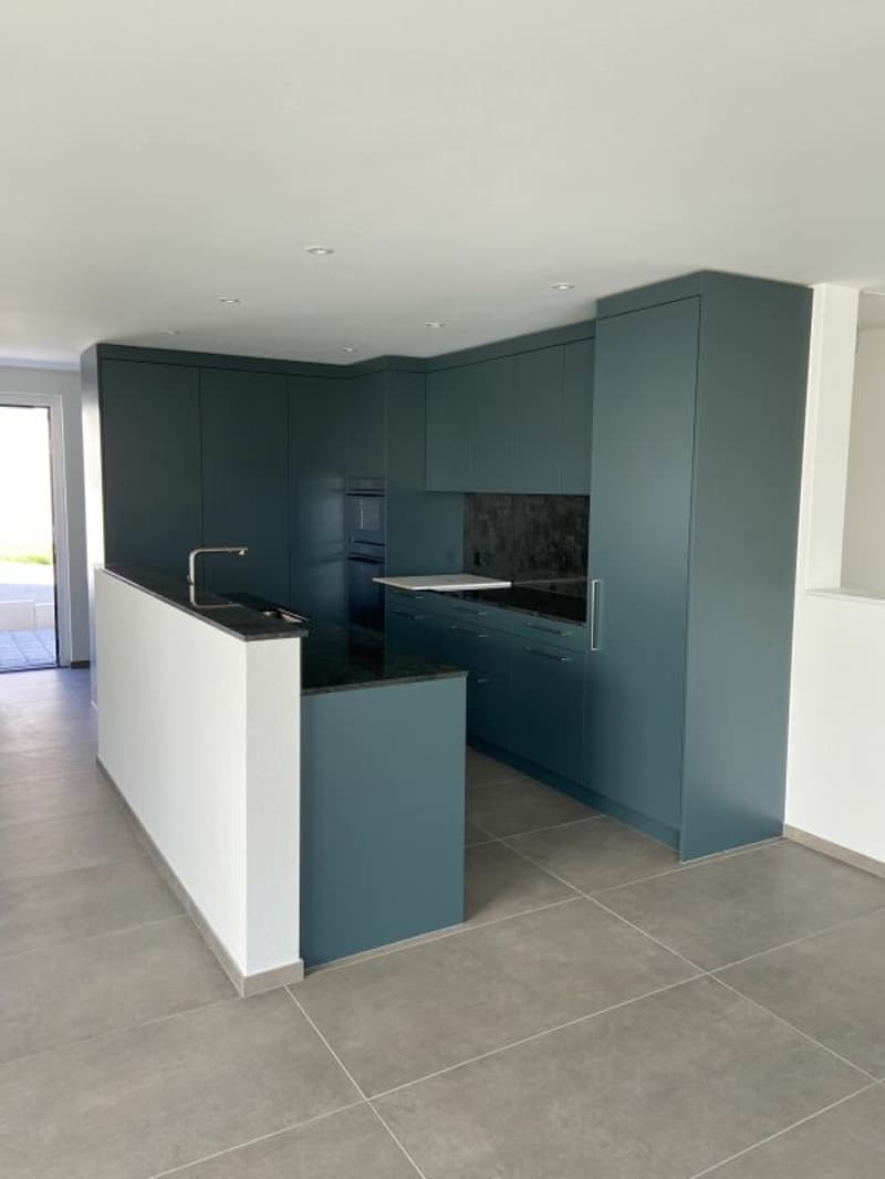 6 1/2-Zimmer-Doppeleinfamilienhaus mit nutzbarer Landfläche (3)