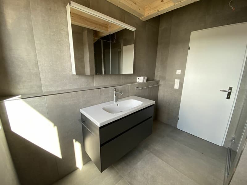 6 1/2-Zimmer-Doppeleinfamilienhaus mit nutzbarer Landfläche (11)