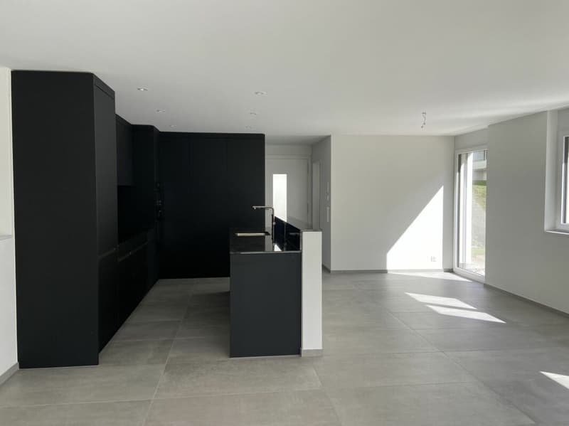 6 1/2-Zimmer-Doppeleinfamilienhaus mit nutzbarer Landfläche (4)